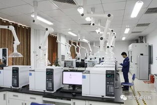 一季度鄂爾多斯經濟運行總體平穩向好，計算機系統集成產業展現活力